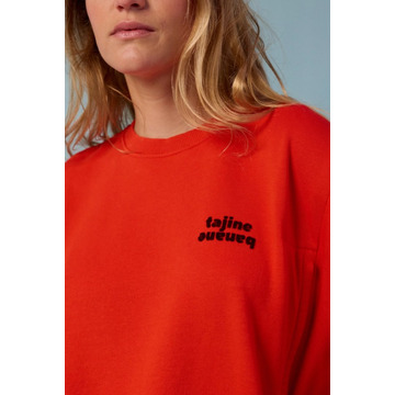 P'allaite sweatshirt - 105008_01_5180.jpg