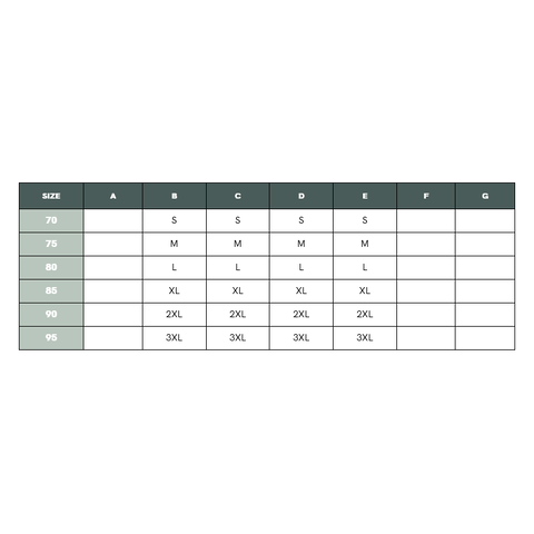 Biscotti bra B-E cup - 103195_02_11584.png