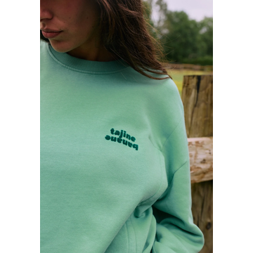 P'allaite Breastfeeding Sweatshirt (Vintage Mint) - 105156_01_12975.png